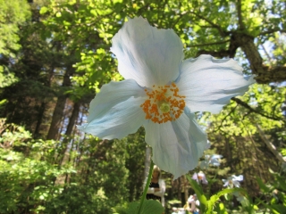 t_IMG_8465.jpg