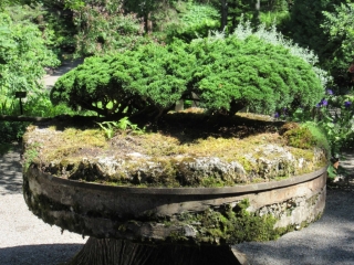 t_IMG_8556.jpg