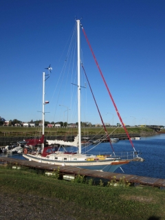 t_IMG_8644.jpg