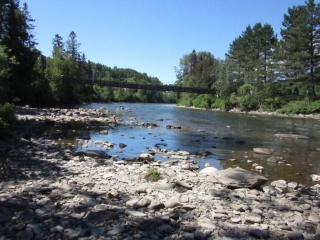 t_IMG_8696.jpg