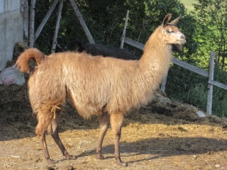 t_IMG_8849.jpg