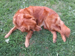 t_IMG_8860.jpg