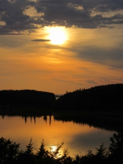 t_IMG_8911.jpg