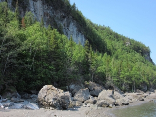 t_IMG_9003.jpg