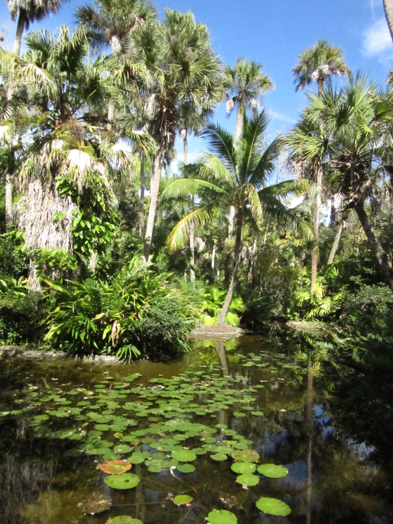 Mckee Botanical Garden Winter 2016