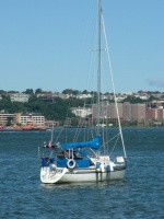DSCF0003.JPG