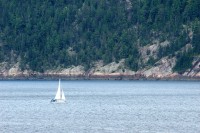 t_276_2749.jpg