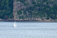 t_276_2753.jpg