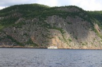 t_276_7655.jpg