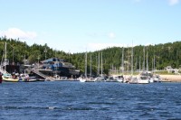 t_276_7673.jpg