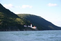 t_276_7694.jpg