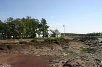 t_278_7806.jpg