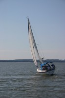t_278_7822.jpg