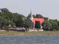 t_278_7831.jpg