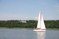 t_278_7886.jpg