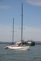 t_278_7893.jpg